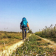 Here, the group heads to Comacchio, Italy, but the journey never really ends, does it?